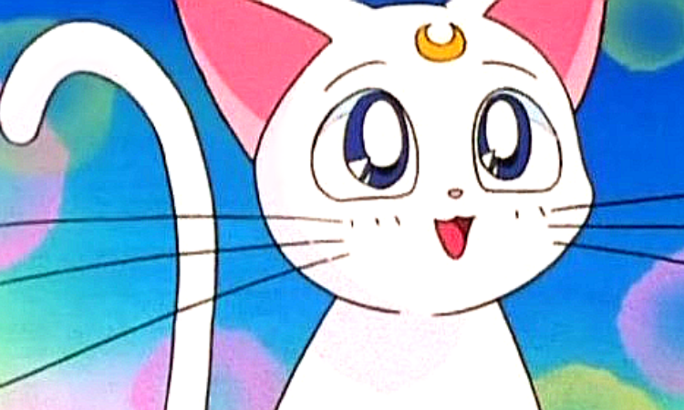 Quién es Artemis el icónico gato de Sailor Moon KpopLat