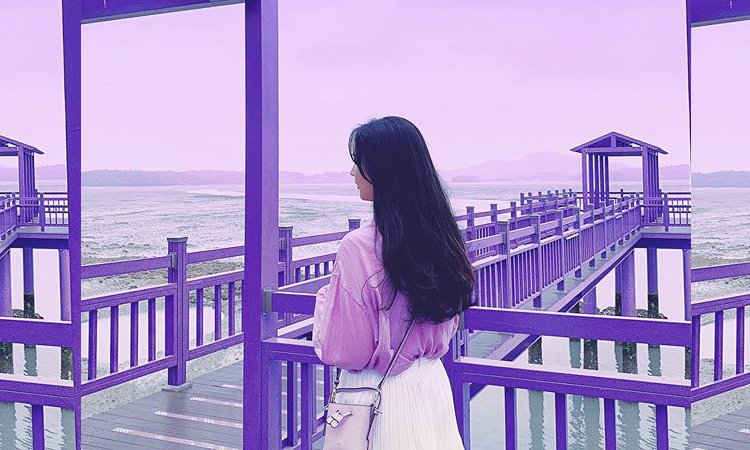 Conoce la maravillosa 'isla púrpura' en Corea del Sur
