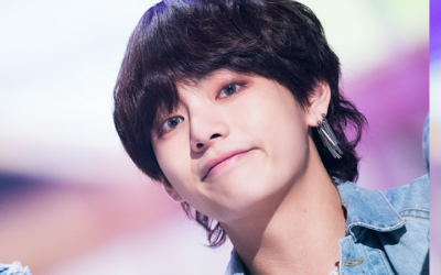 Fans de BTS se quejan de cómo fue retratado V para 'In the SOOP'