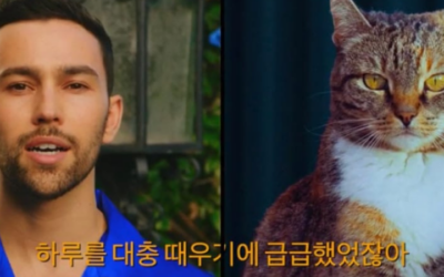 Suga es interpretado por un gatito y más sobre el nuevo vídeo de MAX 'BlueBerry Eyes'