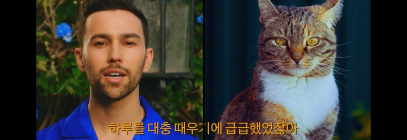 Suga es interpretado por un gatito y más sobre el nuevo vídeo de MAX 'BlueBerry Eyes'