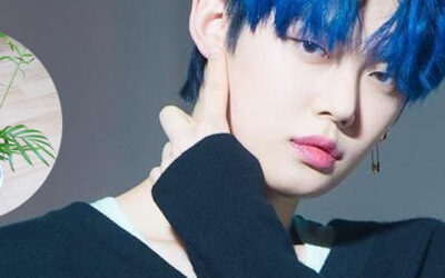 Este es el hermoso significado que representan las plantas que Soobin regalo a TXT