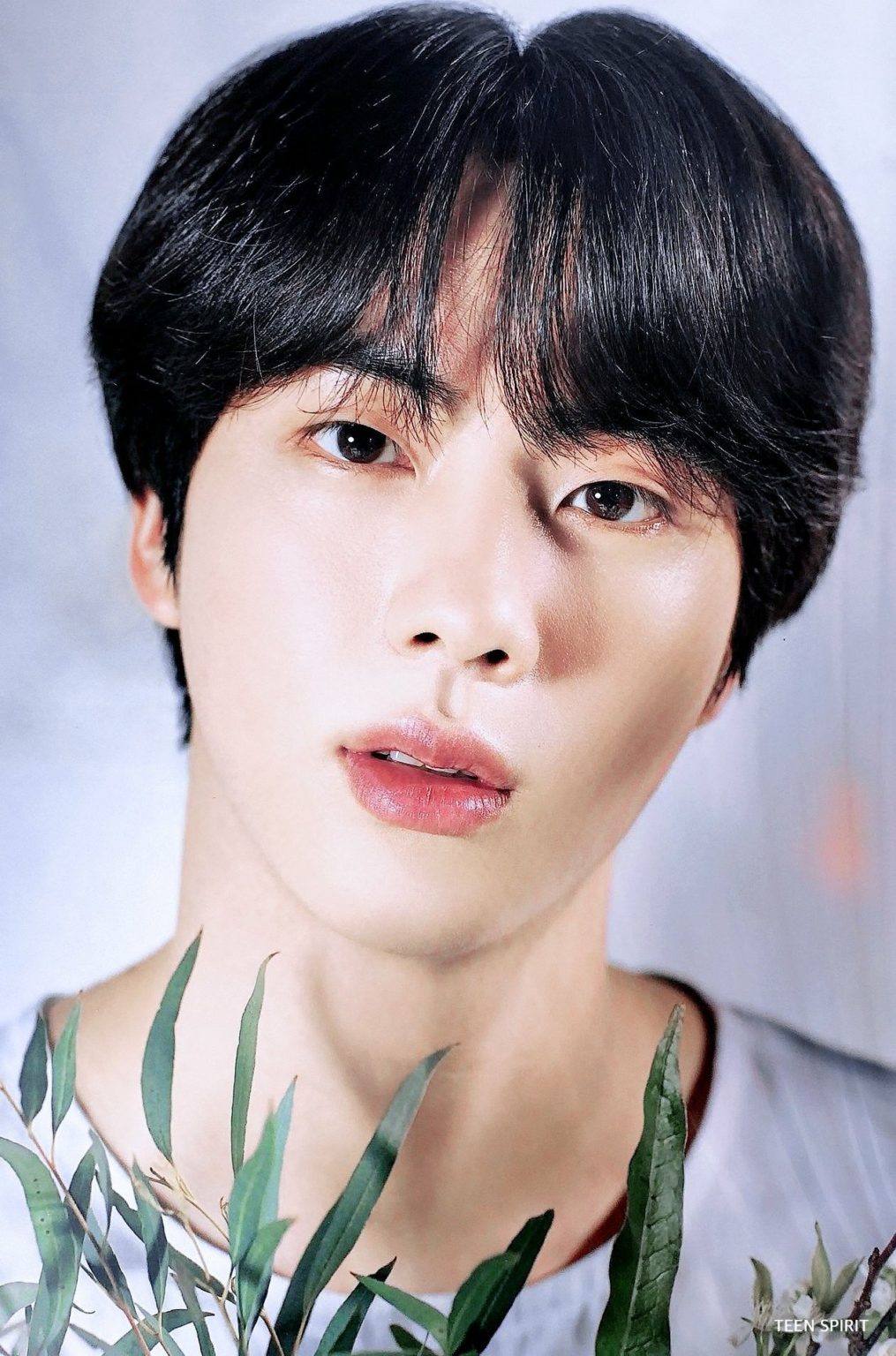 La belleza de Jin de BTS