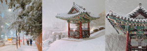 Las bellas postales que han dejado las nevadas del 2021 en Corea