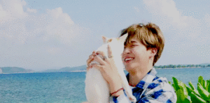 Mira por qué Jimin de BTS es conocido como 'Puppy Kitty'