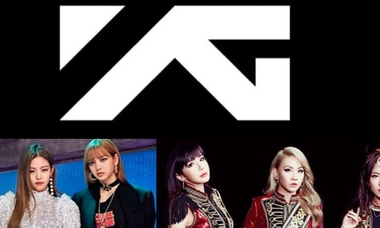 Nuevo grupo de chicas de YG Entertainment debutaría en dos unidades