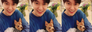 Choco, el perro de Lee Min Ho causa envidia en las redes sociales