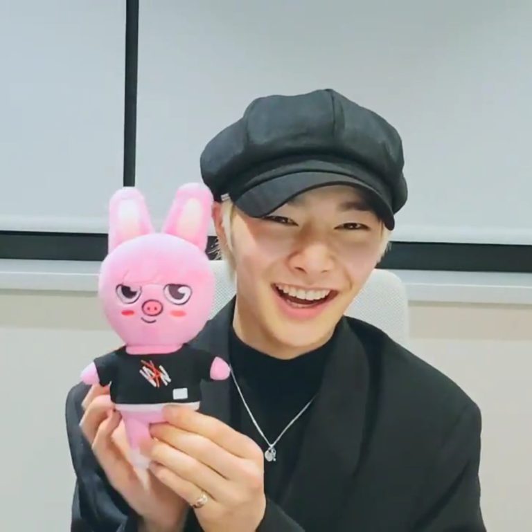 Peluche Officielle StrayKids SKZOO - Personnage DWAEKKI (CHANGBIN) - Three Sixty - Neuf Non Ouvert