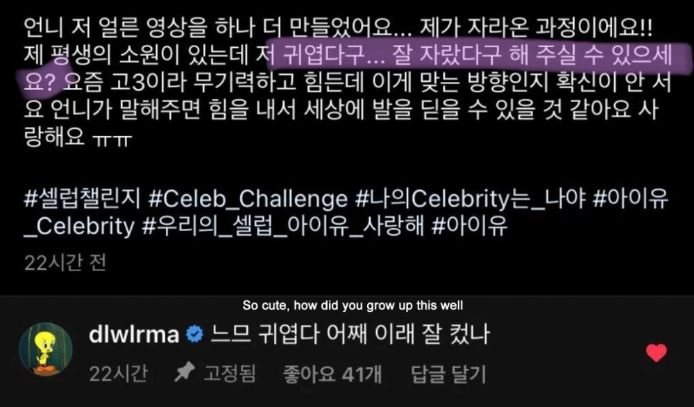 IU comenta personalmente las publicaciones de los fans que hacen el #Celeb_Challenge