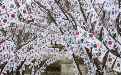 Árboles decorados con banderas de Corea del Sur