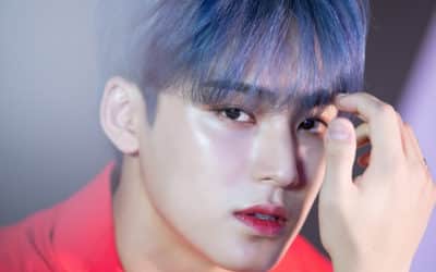 PLEDIS Entertainment actualiza el caso de Mingyu de SEVENTEEN