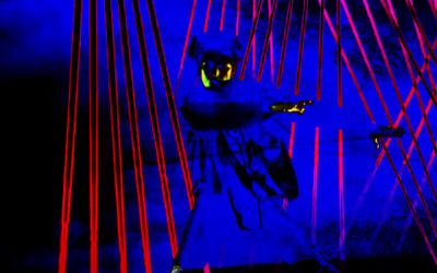 Netizen piensan que OMEGA X sera un grupo con ex-idols