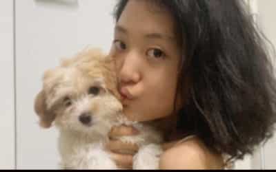 Song Hee Joon se disculpa después de que abandonó a su perro