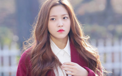 La segunda temporada del web reality de Yeri de Red Velvet 'Yeri's Room' se cancela