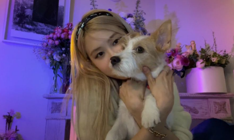 Rosé de BLACKPINK narra la conmovedora historia de adopción de su perro