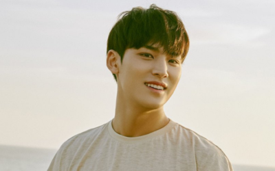 Pledis informa que Mingyu de SEVENTEEN ha llegado a un acuerdo con uno de sus acusadores de Bullyng
