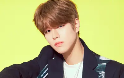 JYP Entertainment bajo fuego tras publicación de Seungmin de Stray Kids sobre sasaengs