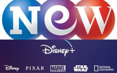 Studio & New y Disney Plus