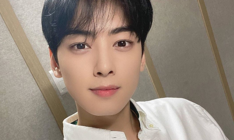 Qui n es el guapo y misterioso hermano de Cha Eun Woo de ASTRO