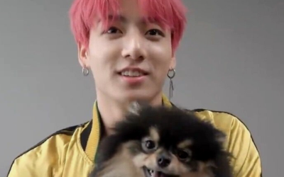 Jungkook de BTS confirma su amor por los animales de forma significativa
