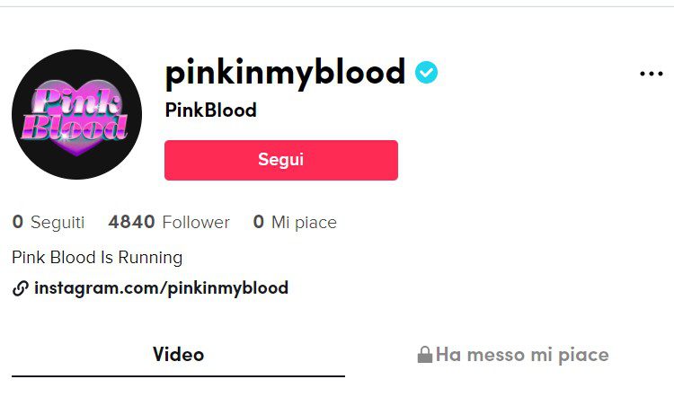 Há rumores de SM Entertainment para lançar novo grupo PinkBlood