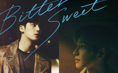 Wonwoo y Mingyu de SEVENTEEN nos enamoran con sus nuevos posters para ‘Bittersweet’ 